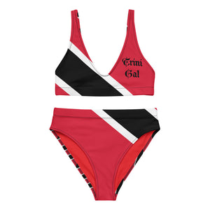 Trini Gal Recycled high-waisted bikini